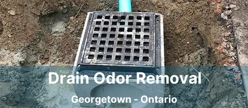 Drain Odor Removal Georgetown - Ontario